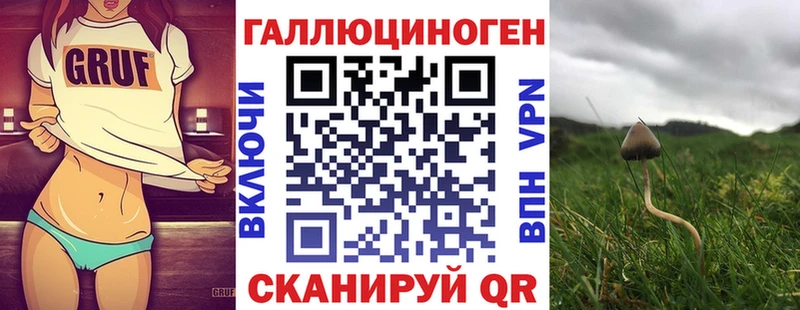 купить наркоту  Тулун  Галлюциногенные грибы прущие грибы 